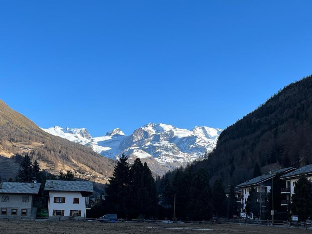 The Snow - Appartamento Panoramico Con Balcone Champoluc Ngoại thất bức ảnh